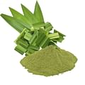 pandan leaves