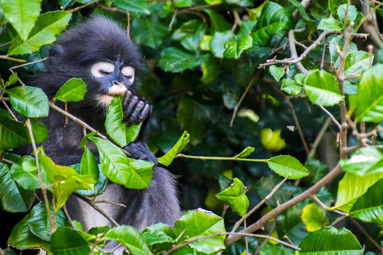 Ang Thong National Marine Park