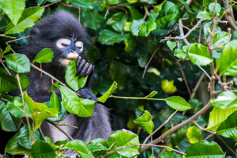 Ang Thong National Marine Park